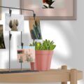 Budget-Friendly Decorating Ideas