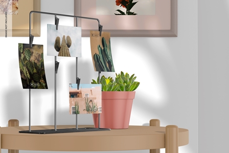 Budget-Friendly Decorating Ideas